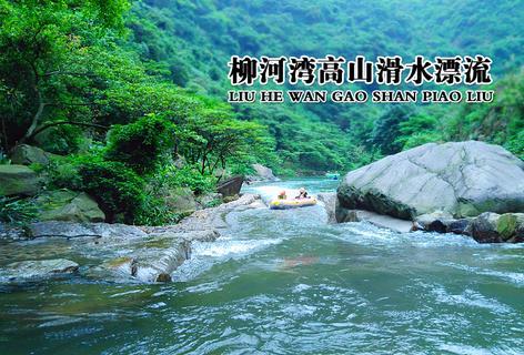 探索知识星球平台,尽在止咳化痰偏方